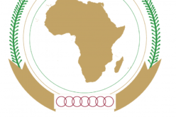 African youth as the 7th region of African Union