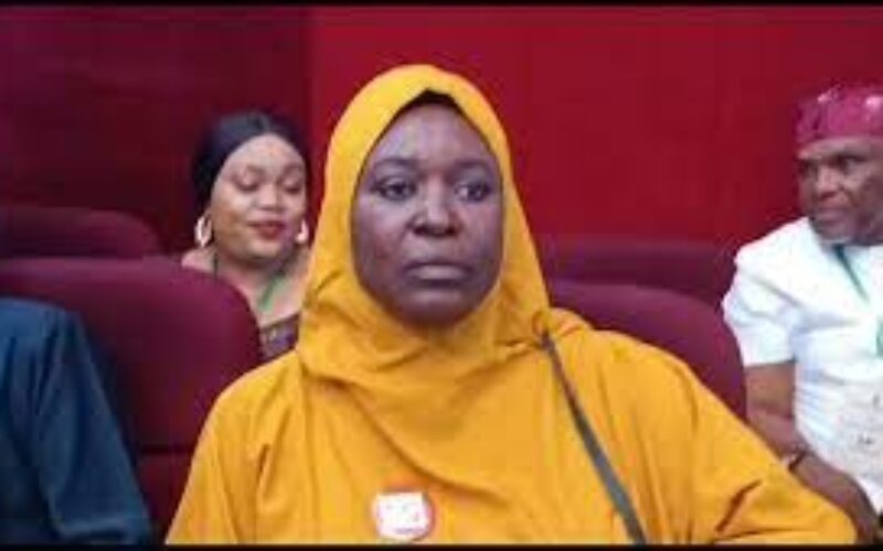 2027: Obi supporters won’t trust INEC with votes —  Aisha Yesufu