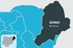 2027: Outrage over Borno commissioner’s threat to flog non-APC supporters
