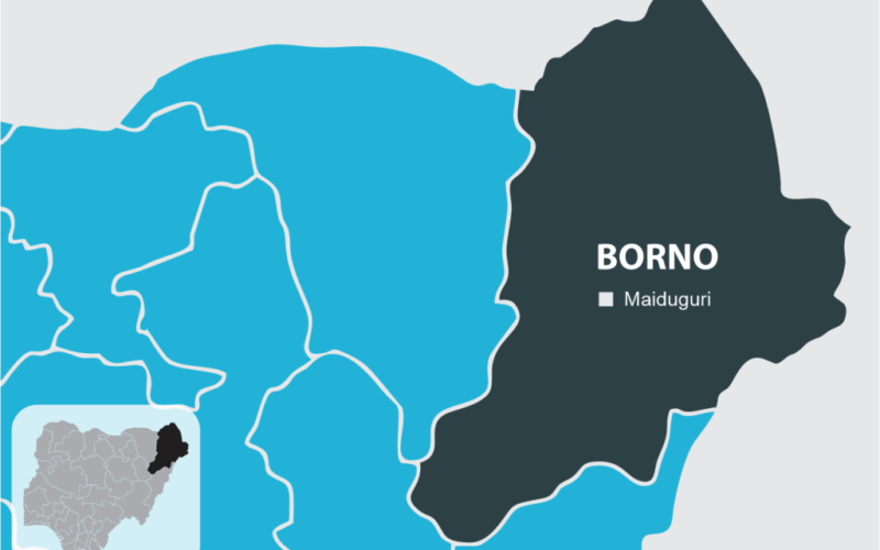 2027: Outrage over Borno commissioner’s threat to flog non-APC supporters