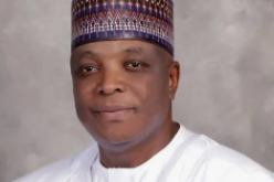 Subsidy Removal: Hold governors, LG chairmen accountable — FERMA chairman