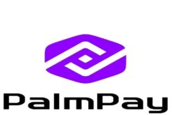 PalmPay introduces NightGuard for night-time transaction protection
