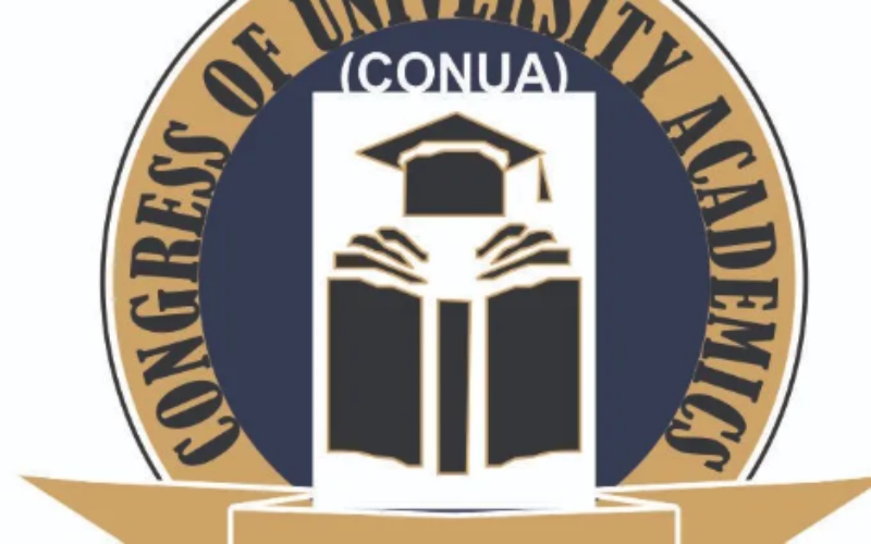 CONUA: University accreditation must reflect actual capacity