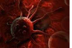 Cells that cheat Death: New clue to why some cancers return