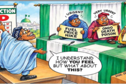 Cartoon: ‘Nigeria on auto-drive?’