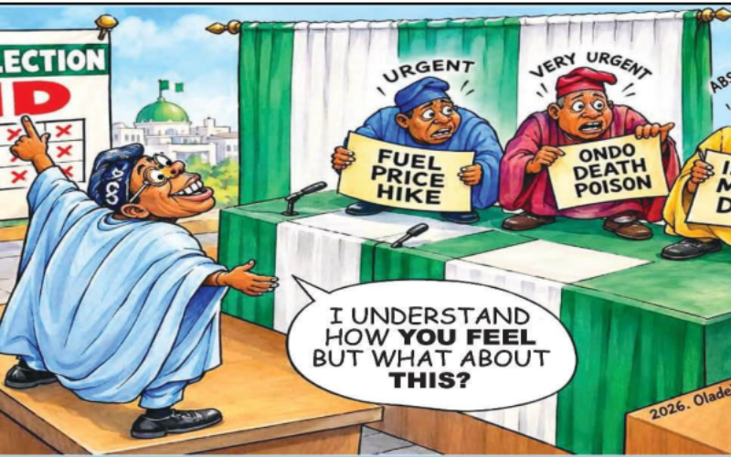 Cartoon: ‘Nigeria on auto-drive?’