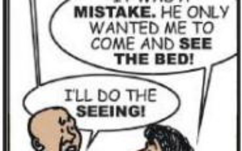Cartoon: How not to test new bed
