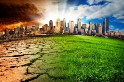 UN roundtable commends Nigeria’s push on climate finance, PHC, basic education