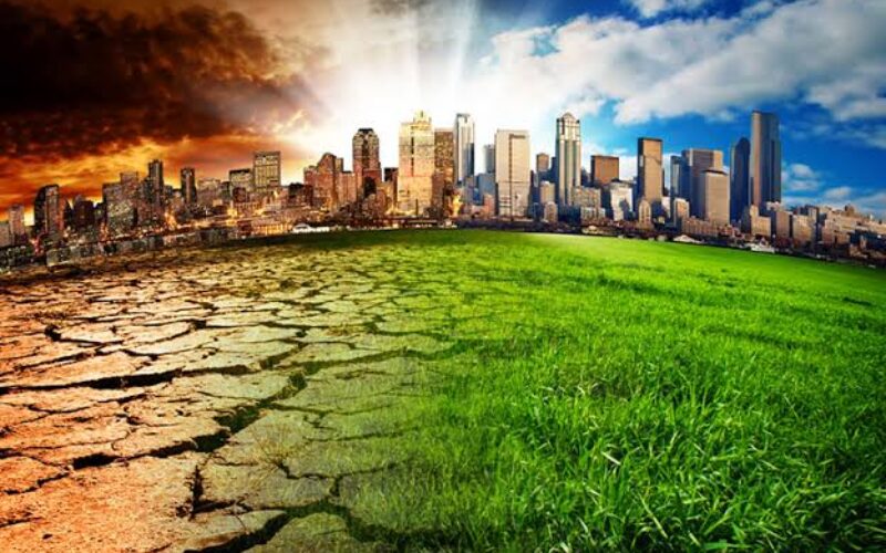 UN roundtable commends Nigeria’s push on climate finance, PHC, basic education