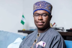 Weak institutions, poor management holding Nigeria back — Peterside