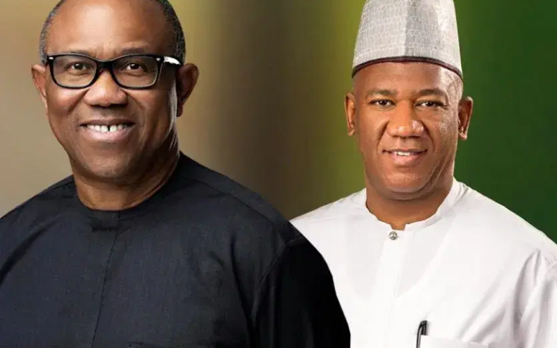Baba-Ahmed suffering from post-political identity crisis after running with Obi  – Okonkwo