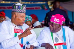 You’re a trusted ally, patriot,  Tinubu hails Shettima @60