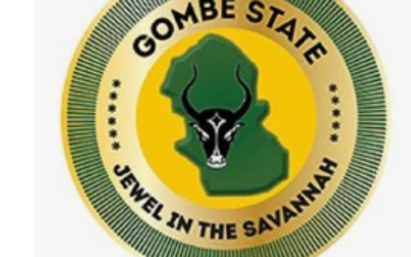 Gombe pledges support for new army formations