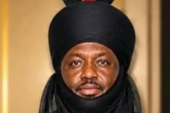 Gov Namadi appoints son of late emir as 17th Emir of Gumel