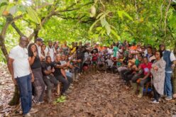The women who refused to wait: How tiny loans are changing lives in Côte d’Ivoire’s cocoa belt