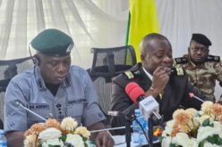 Nigeria, Benin Customs harmonise cross border trade procedures, conduct assessment