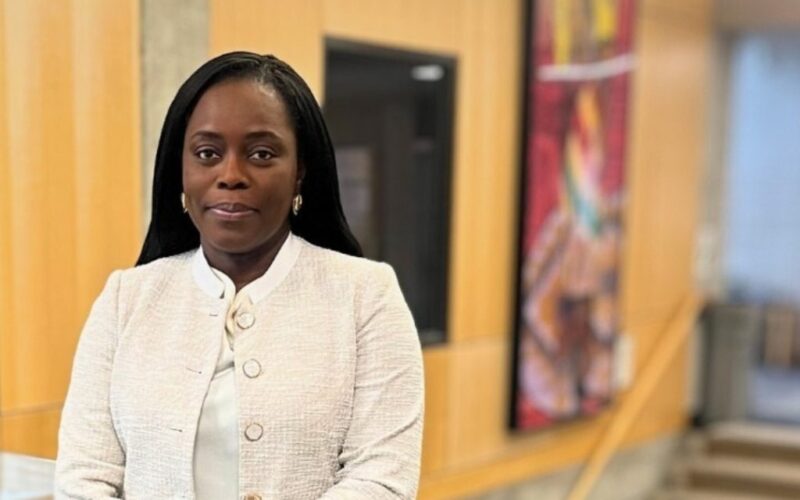 Meet Ibironke Odumosu-Ayanu, Nigerian professor appointed dean at Canadian university