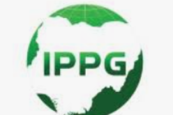 Africa needs $200bn yearly energy investment — IPPG