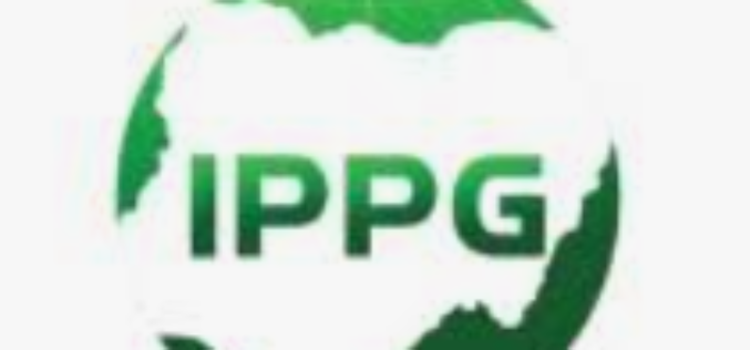 Africa needs $200bn yearly energy investment — IPPG