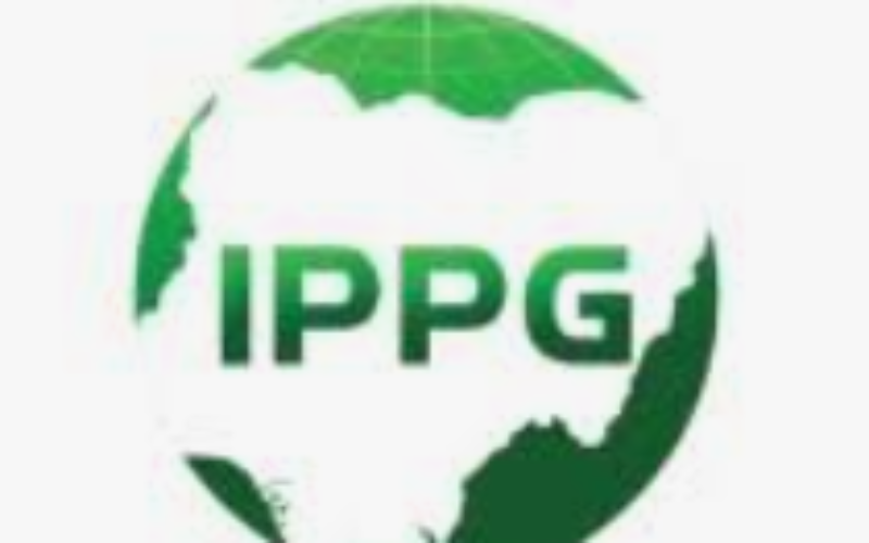 Africa needs $200bn yearly energy investment — IPPG