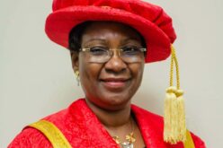 Why public universities might start charging N1m tuition fee – LASU ex-VC