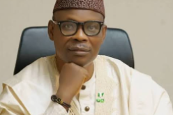 FG targets 172 LGAs with maternal health incentives