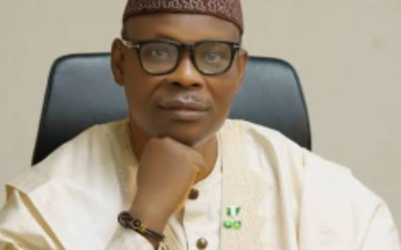 FG targets 172 LGAs with maternal health incentives