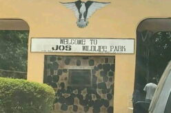 Mutilated corpse of woman found in Jos wildlife forest reserve