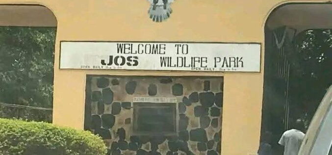 Mutilated corpse of woman found in Jos wildlife forest reserve