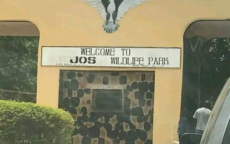 Mutilated corpse of woman found in Jos wildlife forest reserve