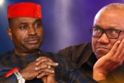 2027: Tinubu will ‘eat Obi like biscuits’ if he runs alone — Okonkwo