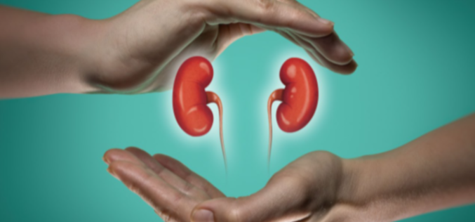 Kidney crisis: Rising cases, crushing treatment costs threaten Nigerians