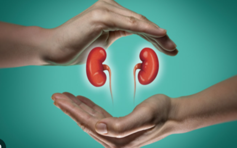 Kidney crisis: Rising cases, crushing treatment costs threaten Nigerians