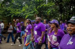 Lagos Government Begins ‘Turn Alausa Purple’ Campaign Against Domestic, Sexual Violence