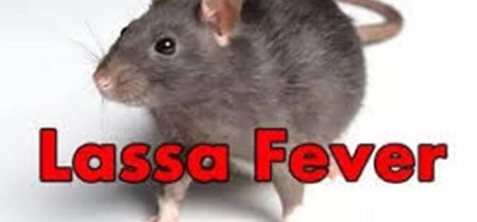Lassa fever: NCDC urges Nigerians to step up prevention
