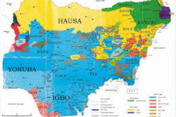 Nigeria’s indigenous languages to face extinction within 70 years – Linguists