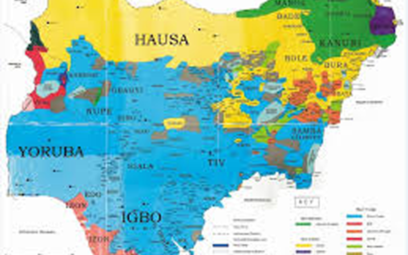 Nigeria’s indigenous languages to face extinction within 70 years – Linguists