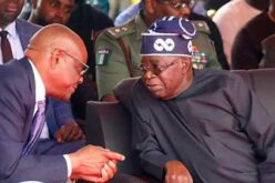 Tinubu understands my Rainbow Coalition – Wike