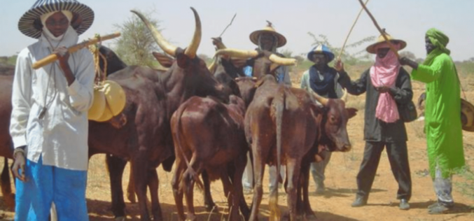 Herdsmen Attacks: Fear grips Delta farmers