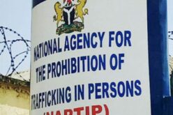 NAPTIP rescues 3,000 victims, says human trafficking migrating to digital space