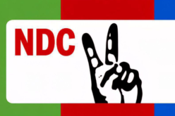 NDC condemns attack, obstruction of Peter Obi in Benue