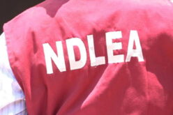 NDLEA uncovers Mexican cartel links to meth labs in Ogun, Oyo forests