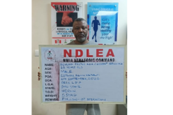 NDLEA arrests fugitive kingpin linked to 49.7kg heroin shipment