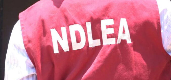 NDLEA uncovers Mexican cartel links to meth labs in Ogun, Oyo forests