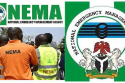 NEMA orders emergency teams on red alert as flood threatens 15 states