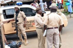 You can come back with your expired passports, NIS tells Nigerians abroad
