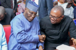 2027: Peter Obi will come third, Atiku second — Afegbua