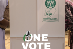 One Vote: The Voter’s Campaign Checklist