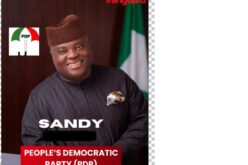 2027 Presidential Election: Meet Sandy Onor, scholar carrying PDP’s broken burden