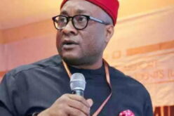 No Nigerian airline makes $1m annual profit – Onyema